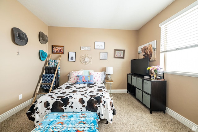 111 E 690 S, Smithfield, UT 84335 - bedroom featuring light colored carpet and multiple windows