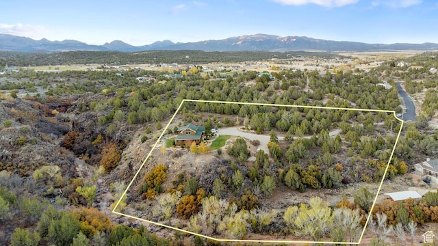 2592 S 2900 E, New Harmony, UT 84757 - drone / aerial view featuring a mountain view