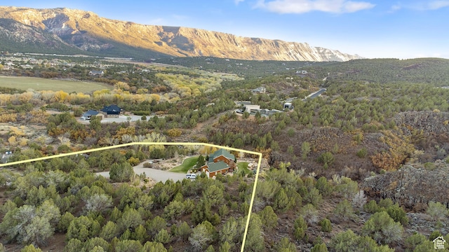 2592 S 2900 E, New Harmony, UT 84757 - drone / aerial view with a wooded view and a mountain view