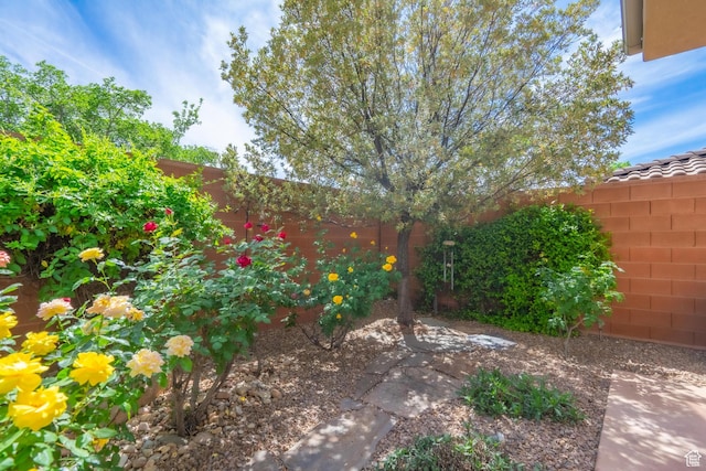 view of fenced backyard