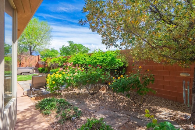 view of fenced backyard