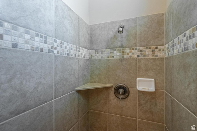 bathroom view of a tile shower