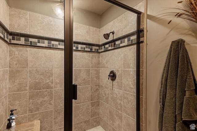 57 E 445 S, Garden City, UT 84028 - bathroom with a stall shower