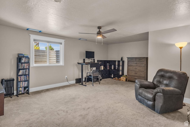 9185 S 200 W, Paradise, UT 84328 - interior space with radiator heating unit, a textured ceiling, a ceiling fan, and baseboards