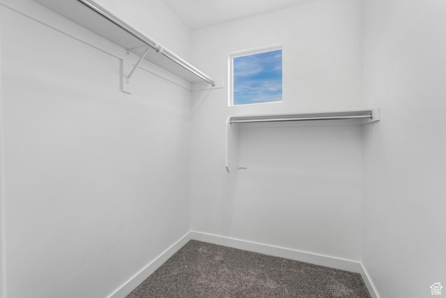 488 N Trident Dr, Saratoga Springs, UT 84045 - spacious closet with dark carpet