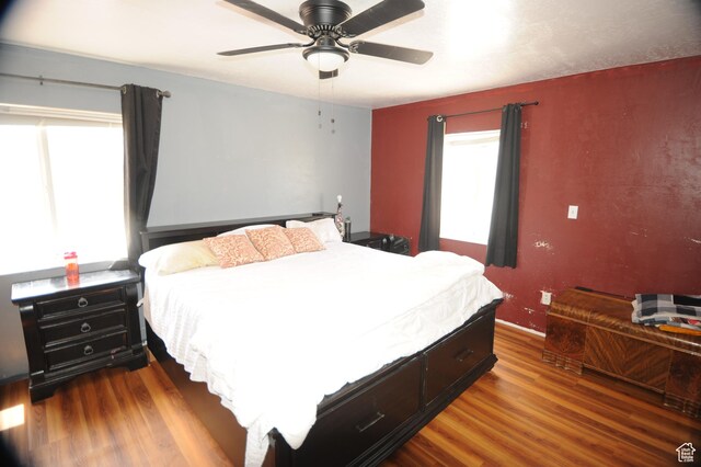 bedroom featuring wood finished floors, a ceiling fan, and multiple windows