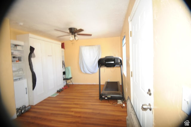 workout area featuring wood finished floors and a ceiling fan