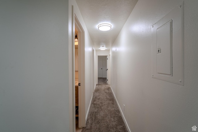 2976 E Saddle Rock Rd, Eagle Mountain, UT 84005 - corridor with baseboards, a textured ceiling, electric panel, and carpet