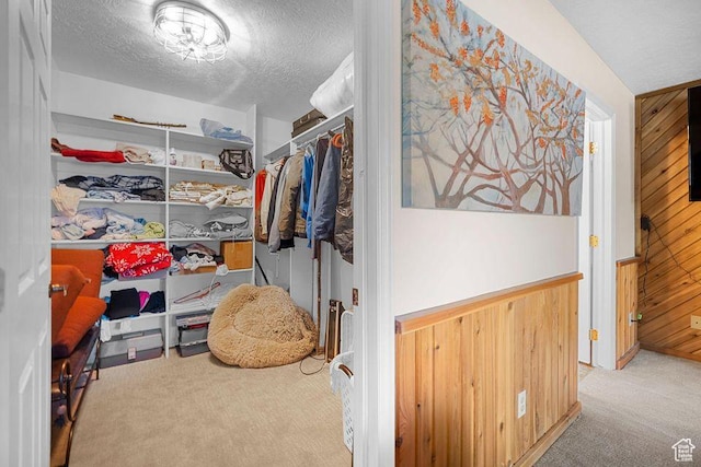 835 E Mountain View Dr, Pine Valley, UT 84781 - walk in closet with carpet