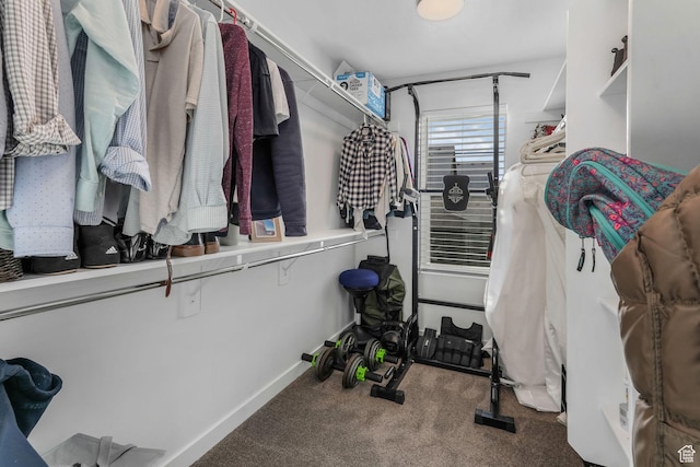 walk in closet with carpet floors