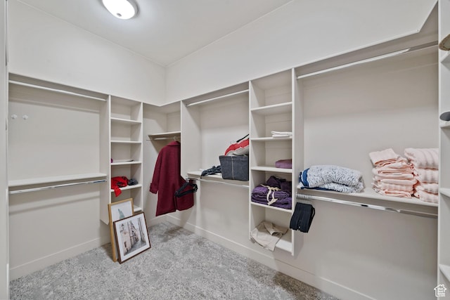 2356 S 1300 W, St George, UT 84770 - walk in closet with carpet floors