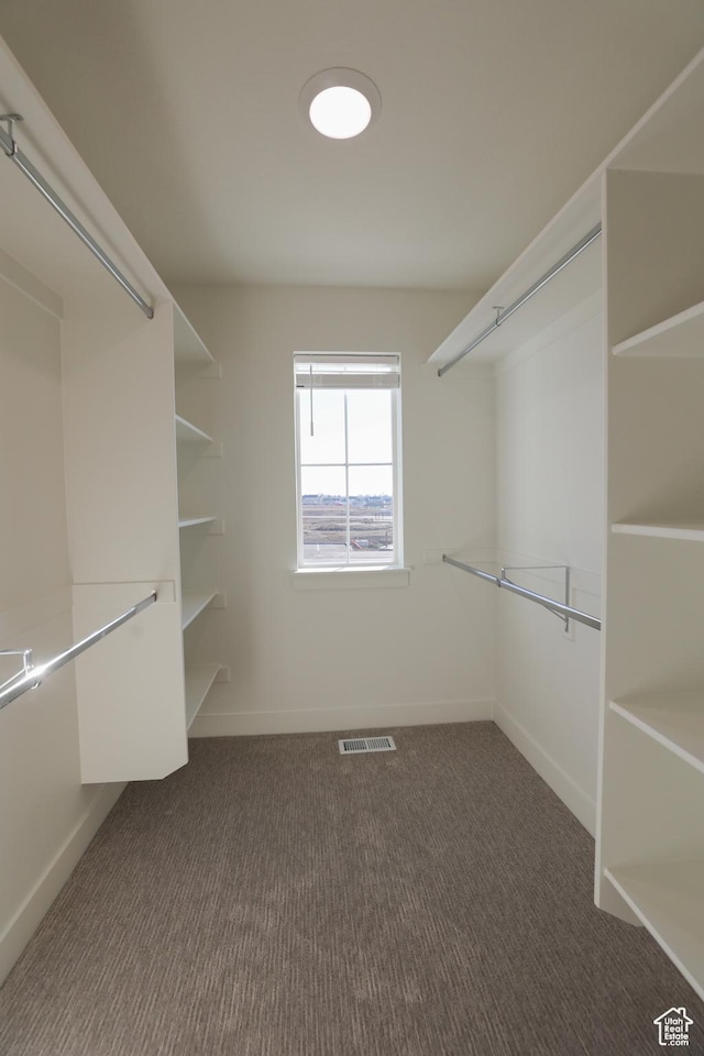 walk in closet with visible vents and carpet