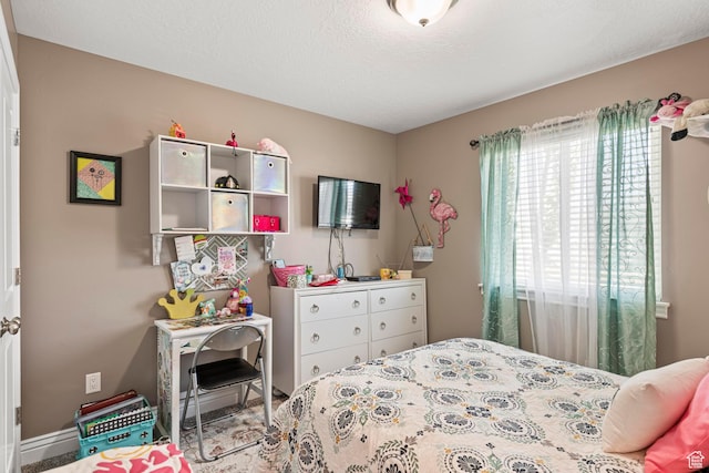 1317 N Providence Way, Tooele, UT 84074 - bedroom with a textured ceiling
