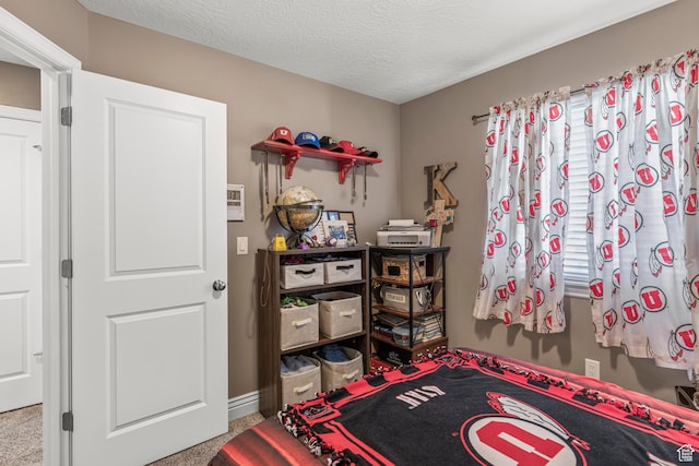 1317 N Providence Way, Tooele, UT 84074 - carpeted bedroom with a textured ceiling