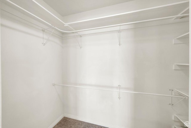 spacious closet with carpet flooring