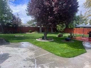 view of yard featuring a patio area and a fenced backyard