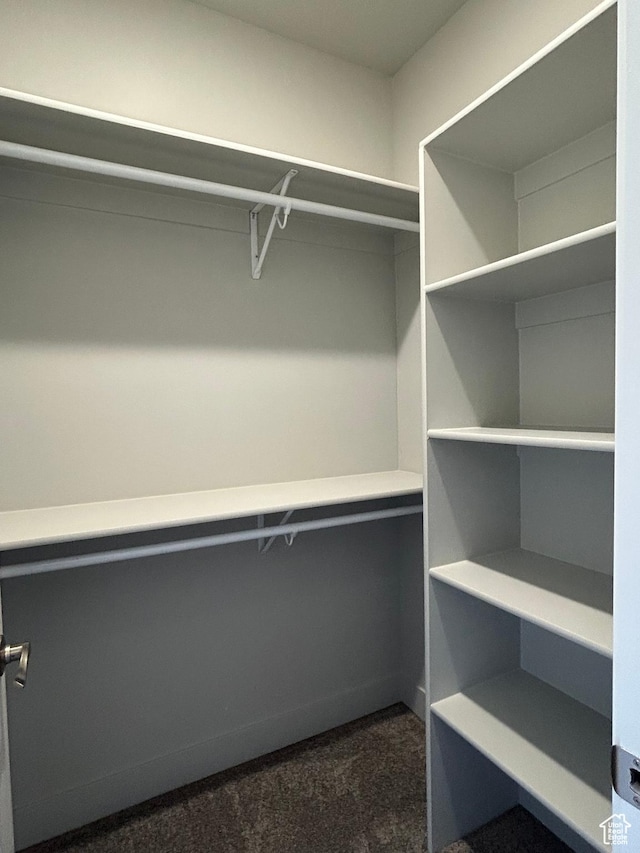 1152 E Smokey Trail Way, Cedar City, UT 84721 - walk in closet featuring dark colored carpet