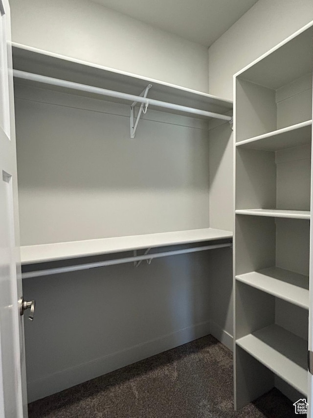 1152 E Smokey Trail Way, Cedar City, UT 84721 - walk in closet featuring dark colored carpet