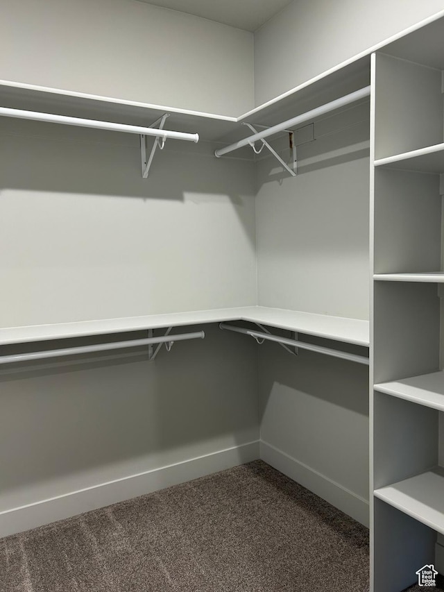 1152 E Smokey Trail Way, Cedar City, UT 84721 - spacious closet with dark carpet