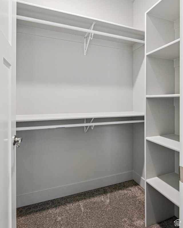 1152 E Smokey Trail Way, Cedar City, UT 84721 - walk in closet with dark carpet