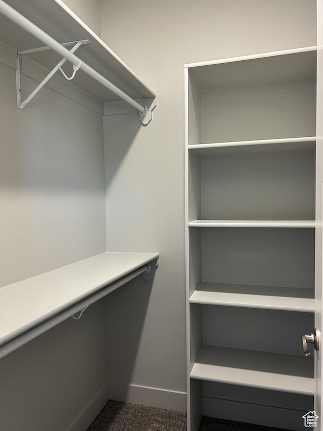 1152 E Smokey Trail Way, Cedar City, UT 84721 - walk in closet with dark carpet