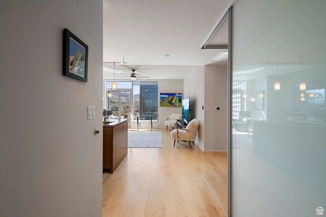 hall featuring light wood finished floors and baseboards
