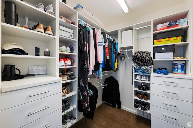 spacious closet featuring dark wood-type flooring