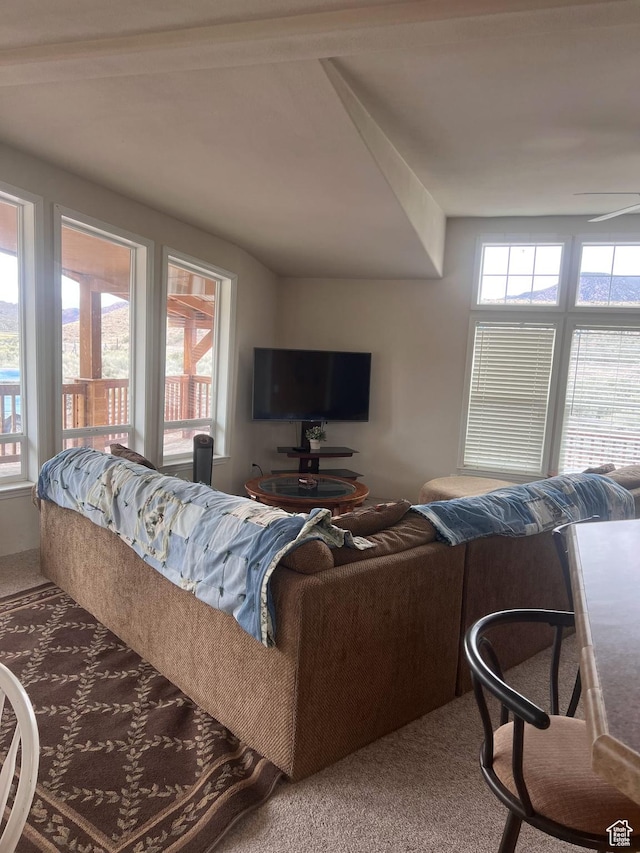 1401 Hwy 62, Antimony, UT 84712