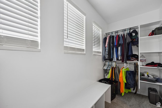 2448 W Anne Ave S, West Haven, UT 84401 - spacious closet with carpet flooring
