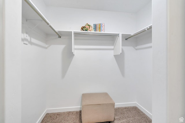 1784 S 360 W, Payson, UT 84651 - spacious closet featuring carpet flooring