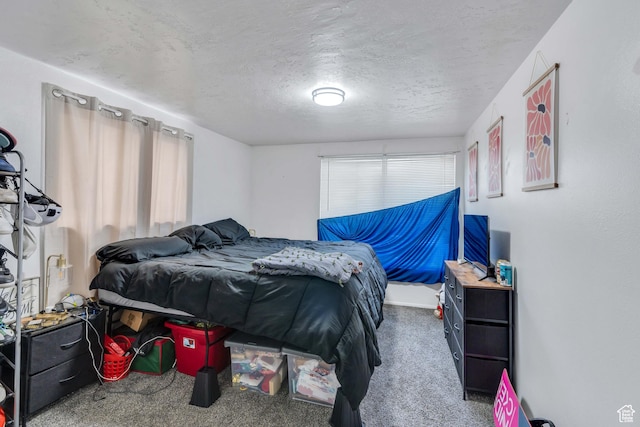 682 N 700 W, Provo, UT 84601 - carpeted bedroom featuring a textured ceiling