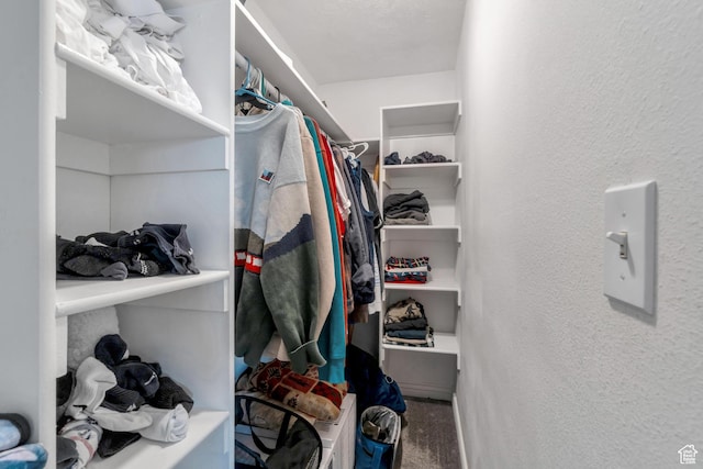682 N 700 W, Provo, UT 84601 - walk in closet featuring carpet floors