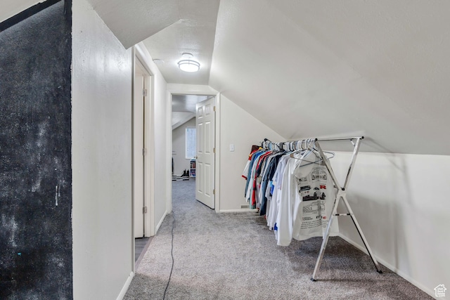 682 N 700 W, Provo, UT 84601 - walk in closet featuring carpet floors and lofted ceiling