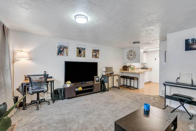 682 N 700 W, Provo, UT 84601 - living area featuring a textured ceiling, baseboards, and light carpet
