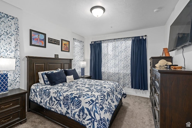 551 S 1020 W Unit 102, American Fork, UT 84003 - bedroom with carpet floors