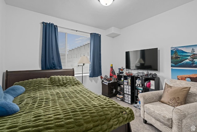 551 S 1020 W Unit 102, American Fork, UT 84003 - view of carpeted bedroom