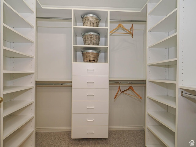 spacious closet with carpet flooring