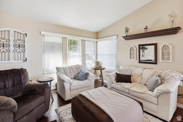 living area with wood finished floors and vaulted ceiling