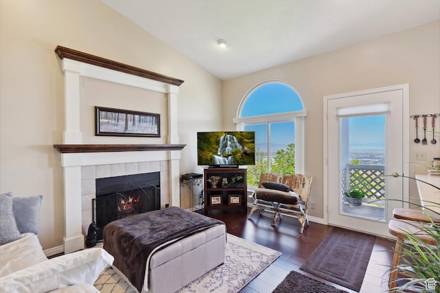 living area featuring lofted ceiling, dark wood finished floors, and a fireplace