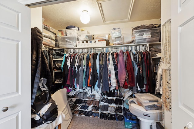 spacious closet featuring carpet and attic access