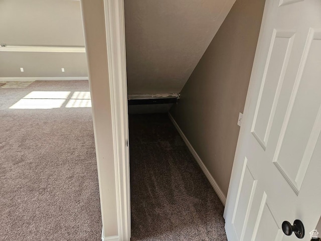stairs featuring carpet flooring and baseboards