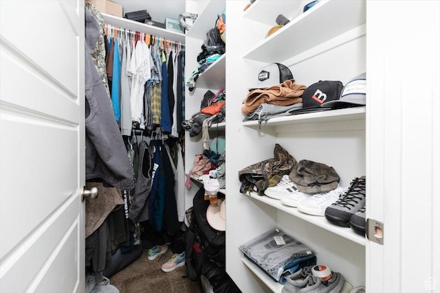 9 W Cedar Ln, Franklin, ID 83237 - spacious closet with carpet floors