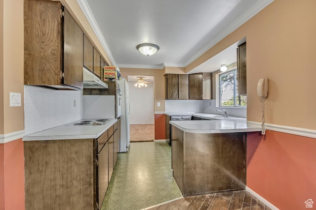 371 E 6770 S, Midvale, UT 84047 - kitchen with a peninsula, a sink, light countertops, under cabinet range hood, and crown molding