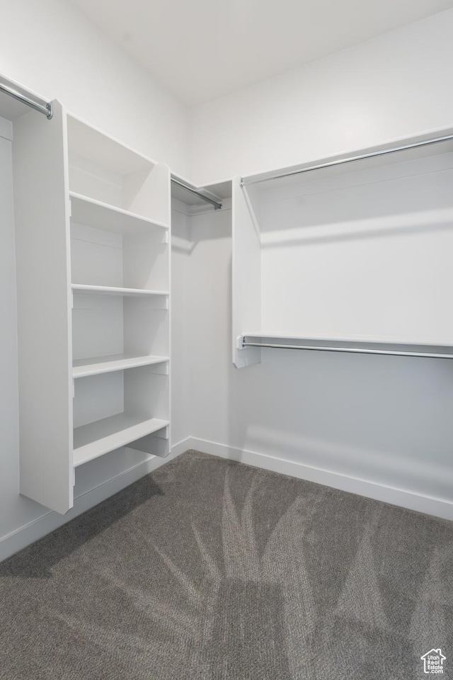2833 W 3050 N Unit 11, Plain City, UT 84404 - walk in closet with carpet floors