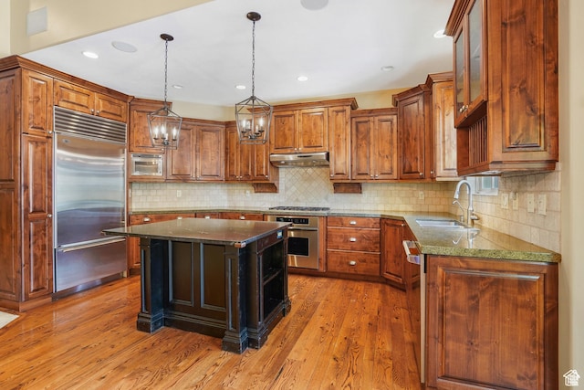 1321 E Farm Hill Dr, Salt Lake City, UT 84117 - kitchen with dark stone countertops, a sink, appliances with stainless steel finishes, light wood-style flooring, and under cabinet range hood