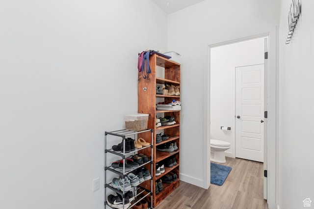 spacious closet with light wood-type flooring
