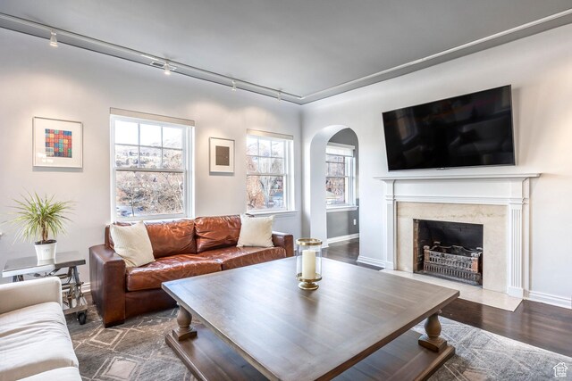 1283 E S Temple Unit 503, Salt Lake City, UT 84102 - living room featuring track lighting, arched walkways, a fireplace, wood finished floors, and baseboards