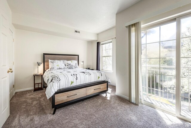 2503 S 160 E Unit 6D, Ogden, UT 84401 - bedroom featuring baseboards, carpet flooring, access to exterior, and visible vents