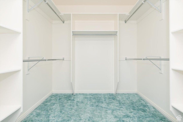 1176 E 900 S, Preston, ID 83263 - walk in closet featuring light carpet