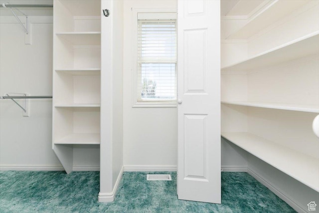 1176 E 900 S, Preston, ID 83263 - spacious closet featuring carpet floors